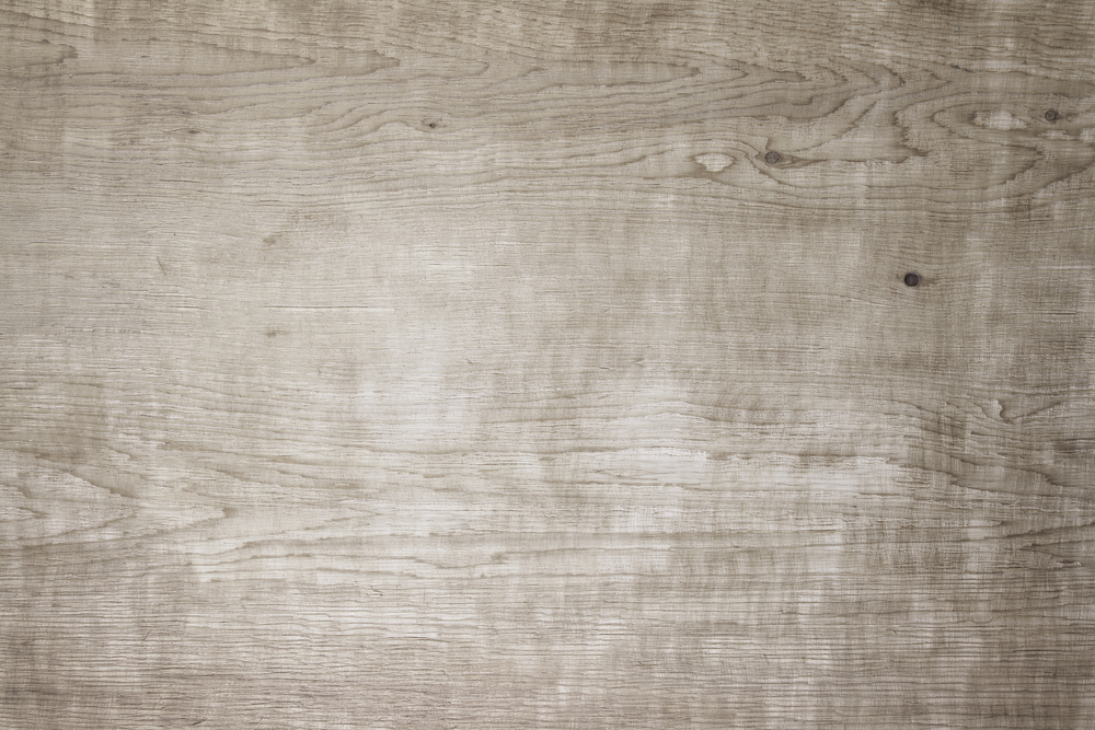 Trægulvet er en samlebetegnelse over alle typer af gulvbelægninger i træ.